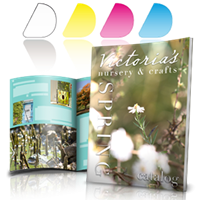 Revistas profesional Revistas profesional